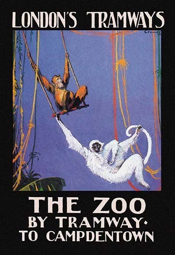 The Zoo Monkeys - Fine Art Giclee Print 24" x 36"