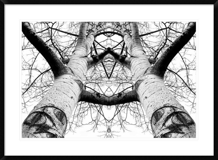 "Aspen Cathedral" Framed Digital Print by James K. Papp, 38"x28"