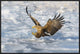 "Coming" Framed Canvas Giclee by C. Mei, 31x21"