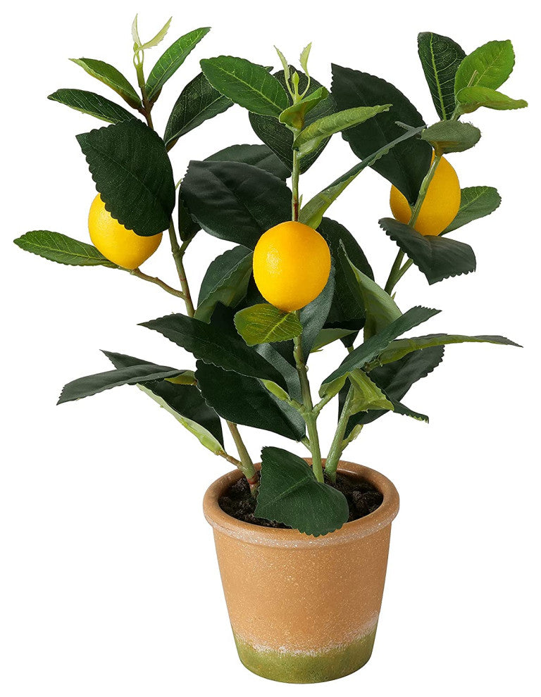 Potted Lemon Topiary Tree , 12.5 Inches