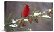 "Northern Cardinal Male, South Lyon, Michigan" Artwork, 18" x 12"