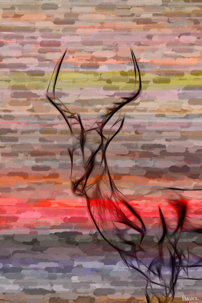 "Antelope" Print on Canvas, 24"x36"