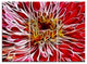 "Dark Red Digital Art Fractal Flower" Metal Wall Art, 3 Panels, 36"x28"