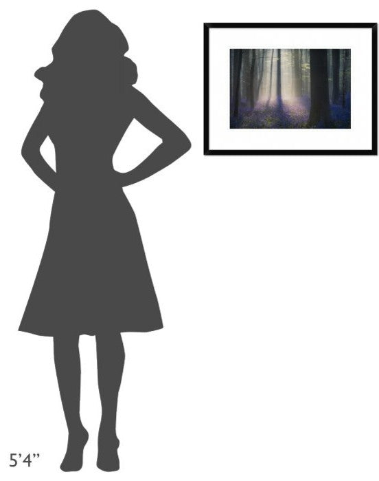 "Velvet Light" Framed Digital Print by Adrian Popan, 26"x20"