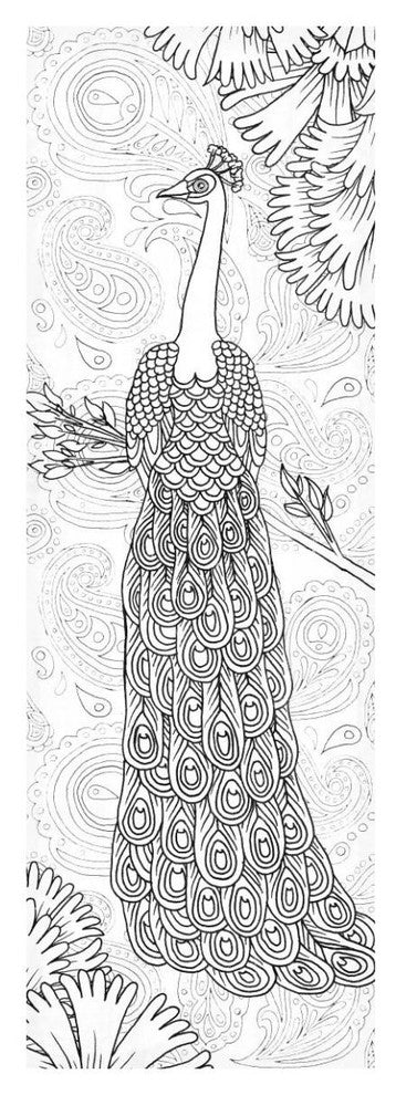 "Boho Peacocks II" Digital Paper Print by Elyse DeNeige, 20"x56"