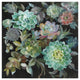 "Floral Succulents" Digital Paper Print by Danhui Nai, 20"x20"