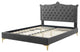 Platform Bed Frame, Nailhead, Queen Size, Charcoal Gray, Velvet, Modern