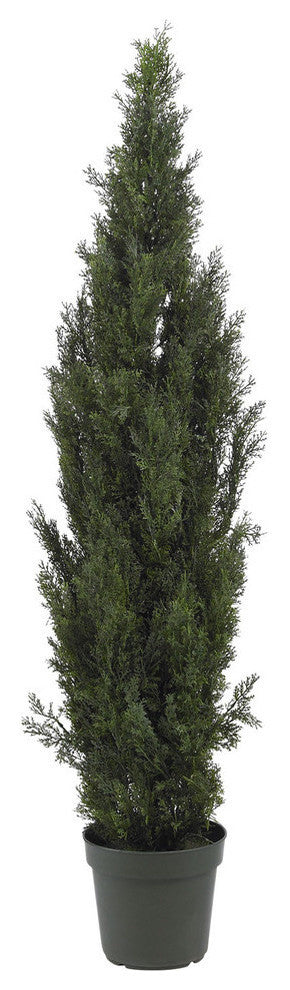 6' Indoor and Outdoor Mini Cedar Pine Tree