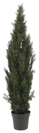 6' Indoor and Outdoor Mini Cedar Pine Tree