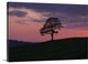 "Another Day Passing" Wrapped Canvas Art Print, 24"x16"x1.5"