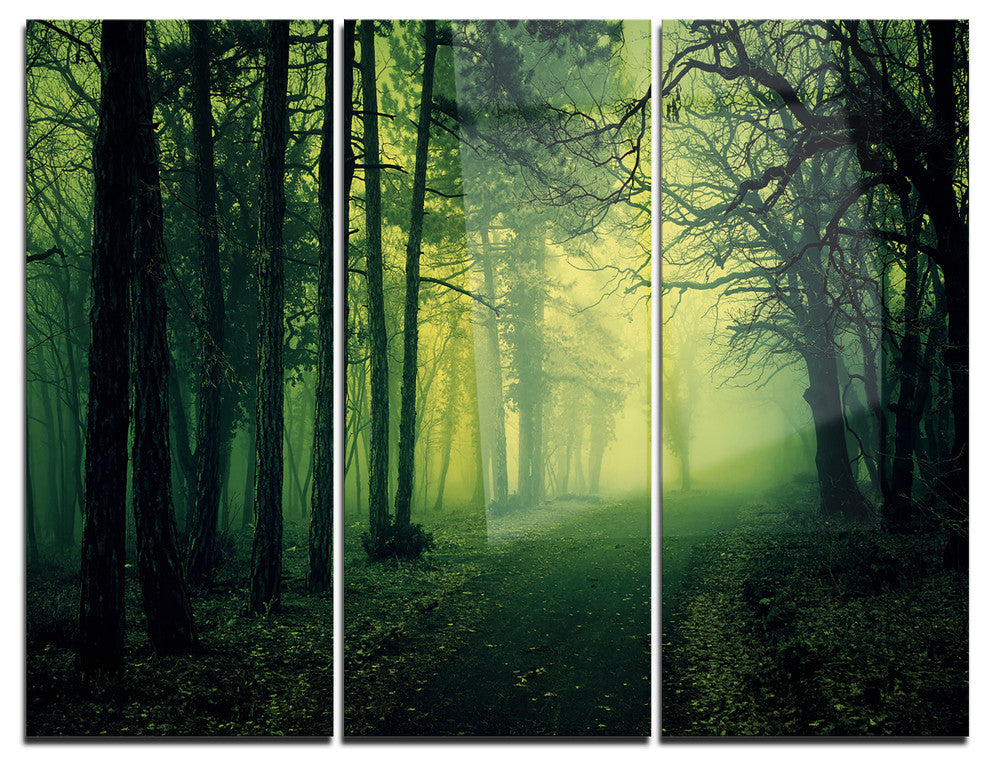 "Green Light in Thick Mist Forest" Photo Metal Wall Art, 3 Panels, 36"x28"