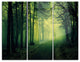 "Green Light in Thick Mist Forest" Photo Metal Wall Art, 3 Panels, 36"x28"