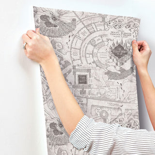 Grey Harry Potter Marauder's Map Peel & Stick Wallpaper