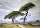 William Stanley Haseltine View of Cannes With Parasol Pines Wall Decal