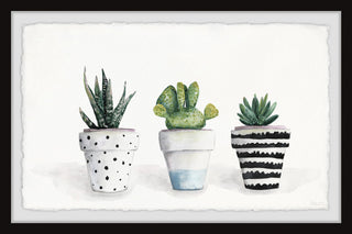 "Succulent Trio II" Framed Painting Print