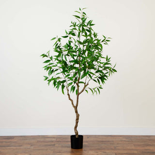Full product on white background, front-facing