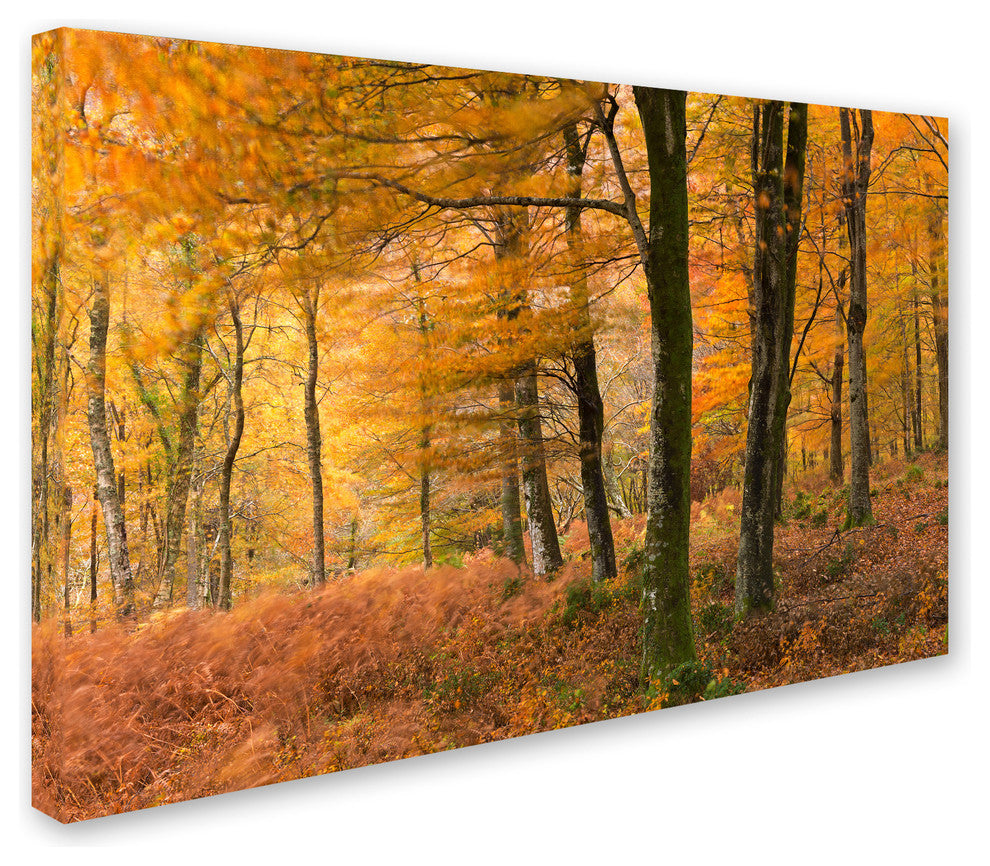 Adam Burton 'Autumn Winds' Canvas Art, 47"x30"