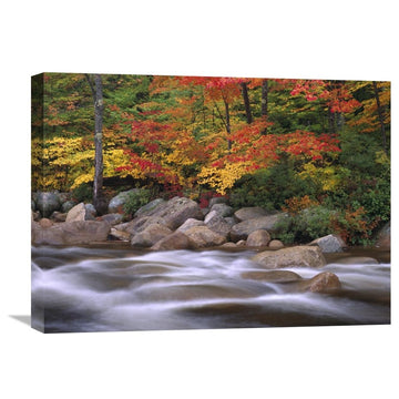 " Along Swift River, White Mountains National Forest, New Hampshire" Artwork