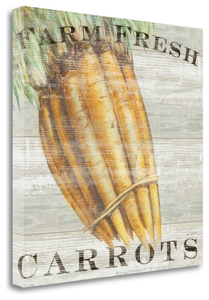 "Farm Fresh Carrots" By Sue Schlabach, Giclee Print on Gallery Wrap Canvas