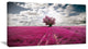 "Purple Tree Dreamscape" Landscape Canvas Photo Print, 32"x16"