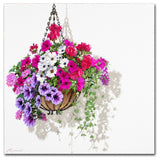 The Macneil Studio 'Hanging Basket' Canvas Art, 24"x24"