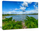 Landscape with Green and Waters, Landscape Canvas Art Print, 20"x12"