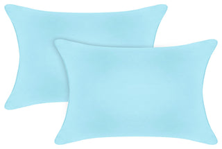 A1HC Throw Pillow Insert, Down Alternative Fill, Set of 2, Light Blue, 12"x20"