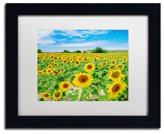 Blanchette Photography 'Field of Yellow', Black Frame, White Matte, 14"x11"