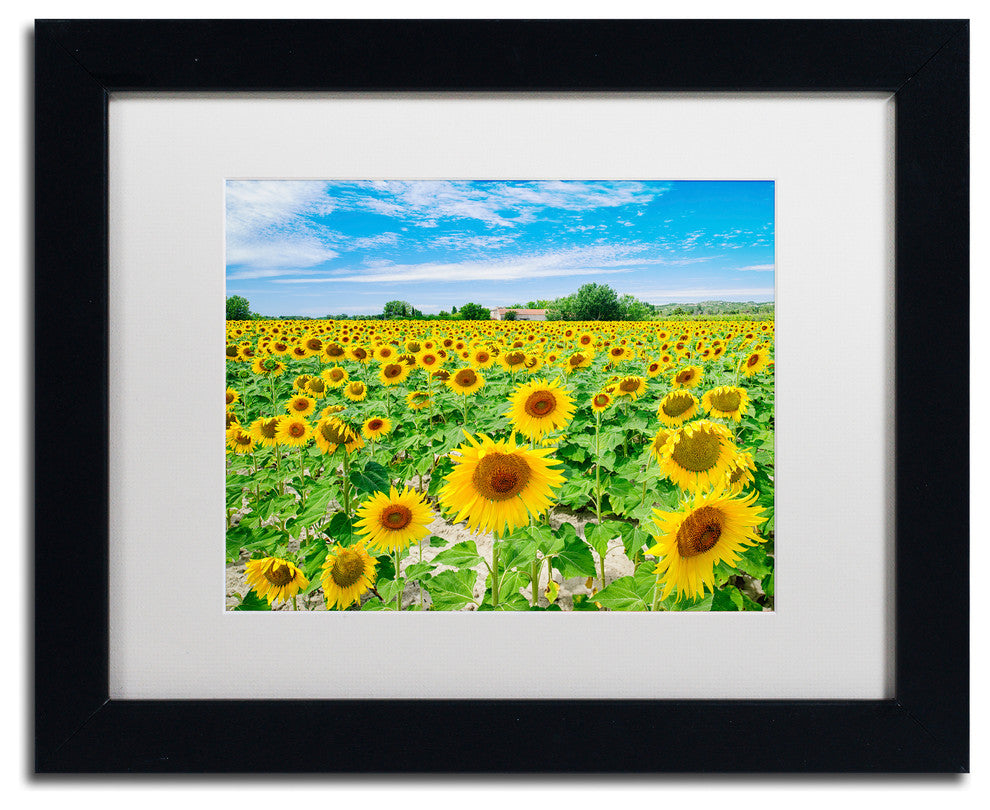 Blanchette Photography 'Field of Yellow', Black Frame, White Matte, 14"x11"
