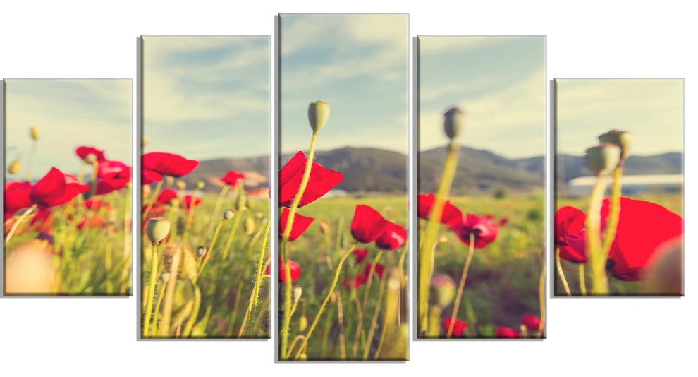 Wild Red Poppy Flowers in Field, Large Flower Canvas Print, 60"x32", 5 Panels