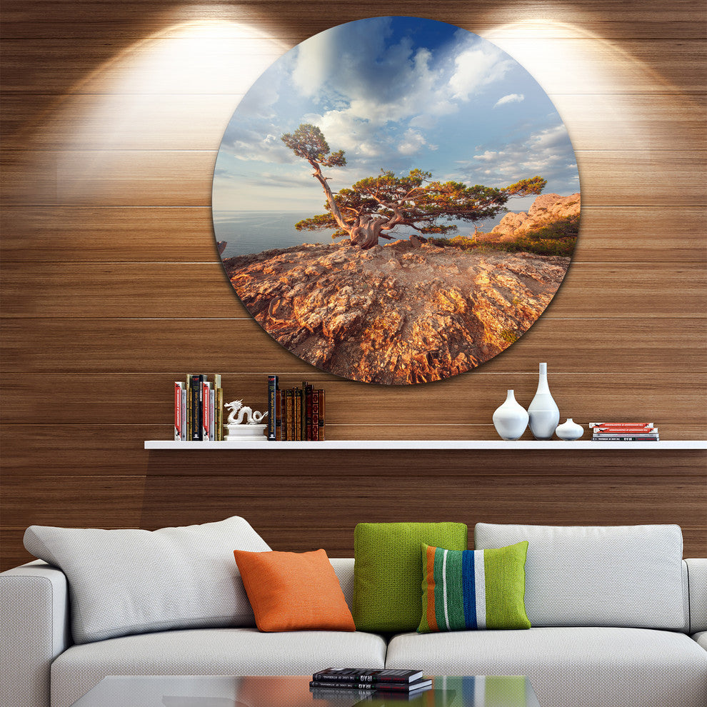 Sunrise With Old Tree At Peak, Landscape Photo Round Metal Artwork, 11"