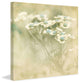 "Place For Me" Painting Print on Canvas by Jorgensen