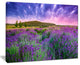 "Summer Lavender Field in Tihany" Modern Landscape Wall Art, 40"x30"
