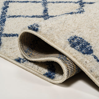 Aksil Moroccan Beni Souk Area Rug
