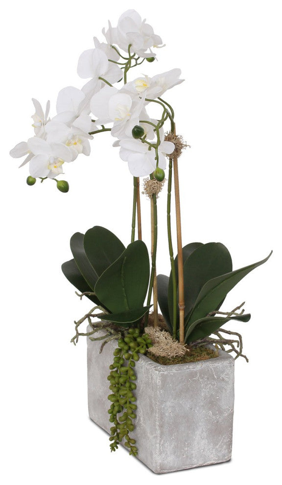 Real Touch Phalaenopsis Orchid, Leaves with String of Pearls in Wash Stone Pot