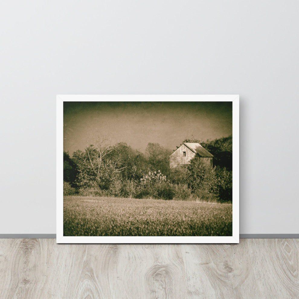 Abandoned Barn In The Trees Vintage Framed Photo Paper Wall Art Prints, White, 16" X 20"