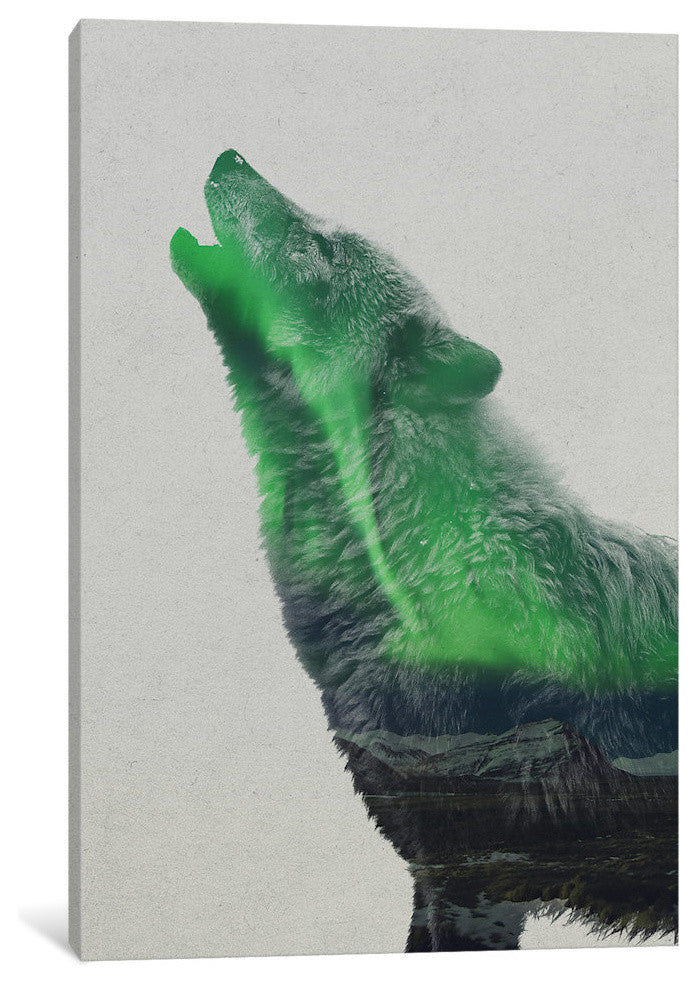 "Howling Wolf" by Andreas Lie, Canvas Print, 26"x18"