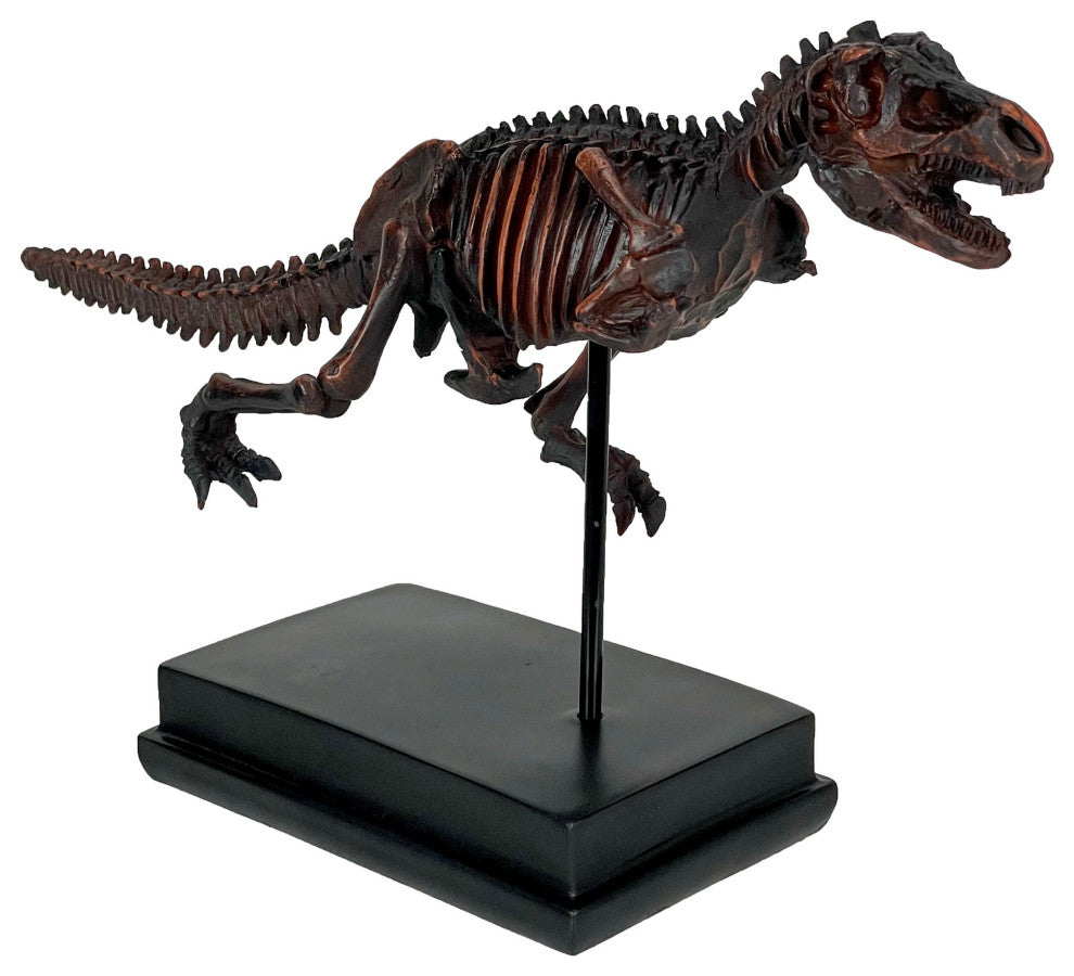 Tyrannosaurus Rex Skeleton Statue T-Rex on Museum Mount