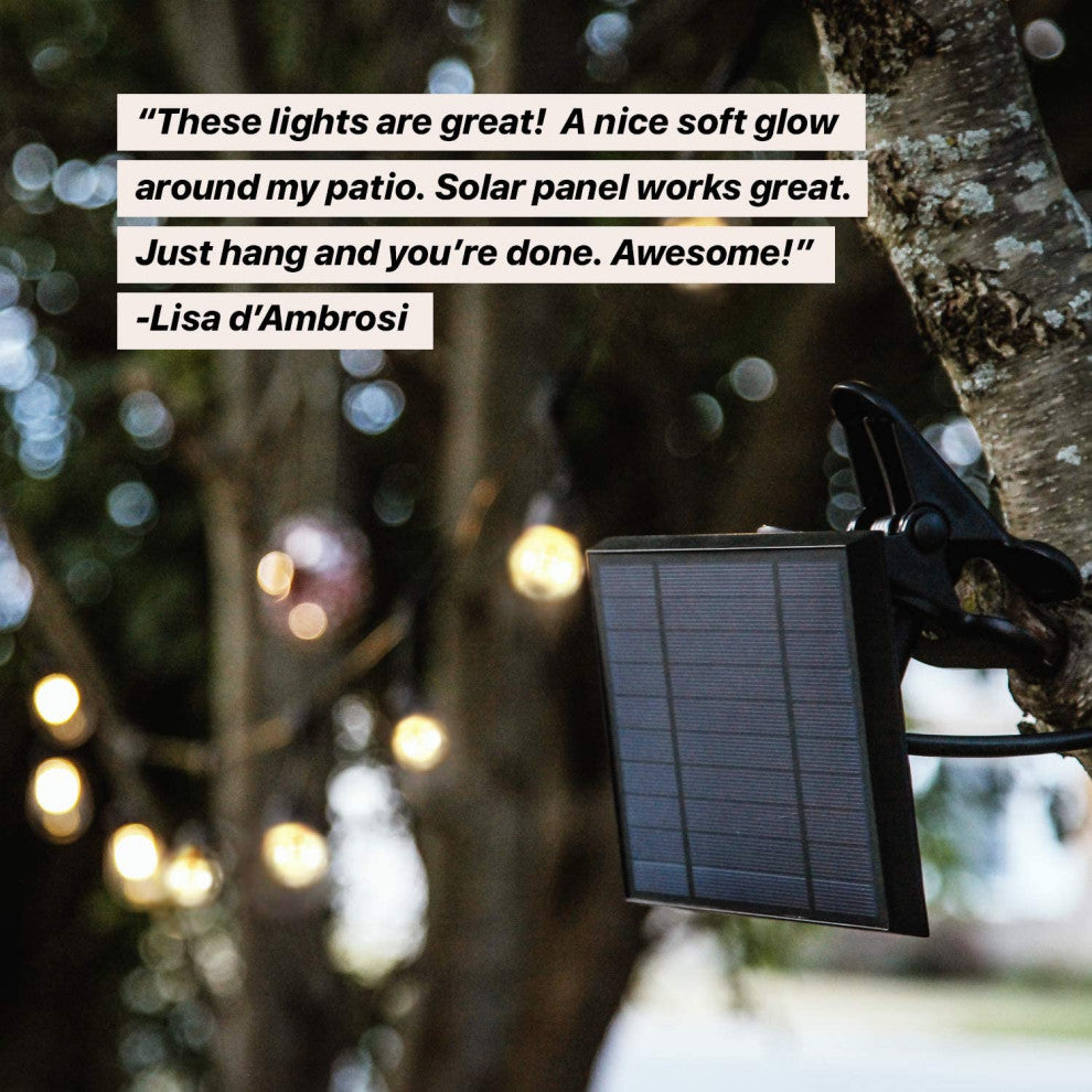 Brightech Ambience Pro Solar 1W Globe Waterproof LED Outdoor String Lights, Warm