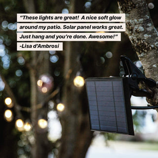 Brightech Ambience Pro Solar 1W Globe Waterproof LED Outdoor String Lights, Warm