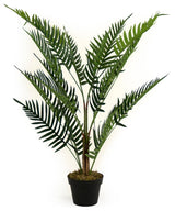 Faux Long Stemmed Green Leafed Fern, Pot