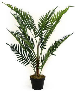 Faux Long Stemmed Green Leafed Fern, Pot