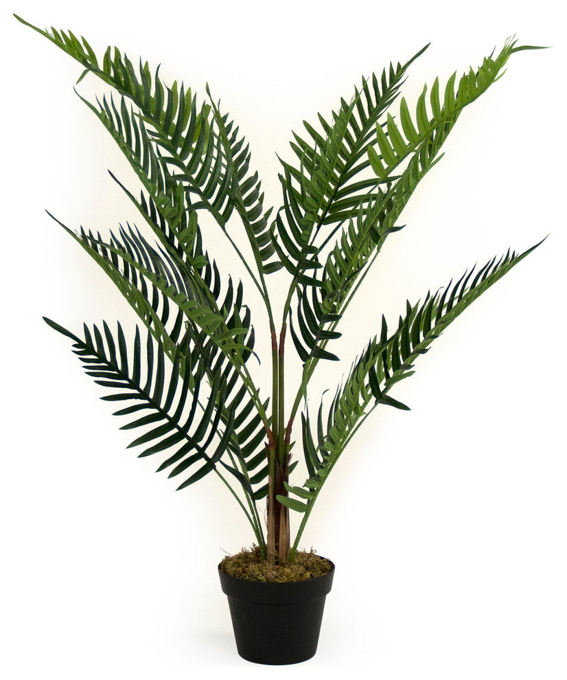 Faux Long Stemmed Green Leafed Fern, Pot
