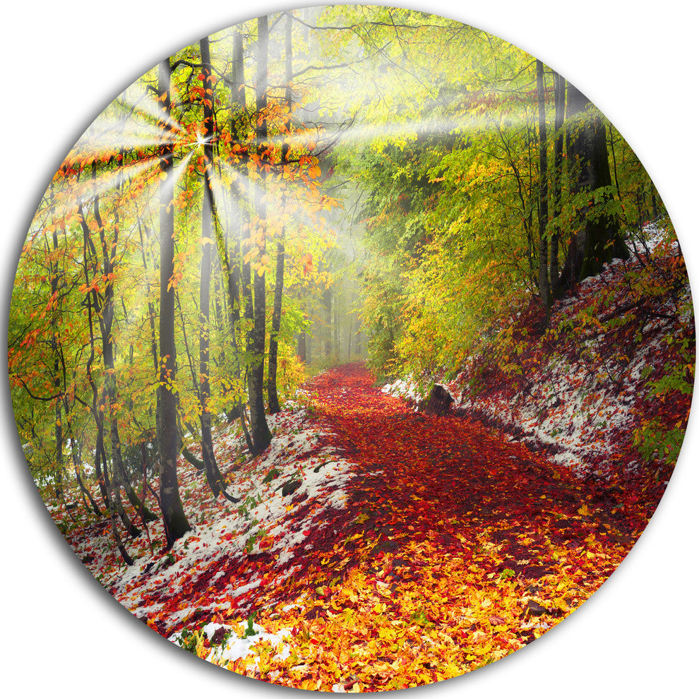 Bright Colorful Alpine Forest, Landscape Photo Disc Metal Wall Art, 38"