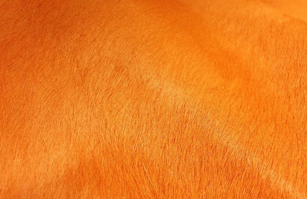 6 Ft Vibrant Orange Stenciled Cowhide Rug