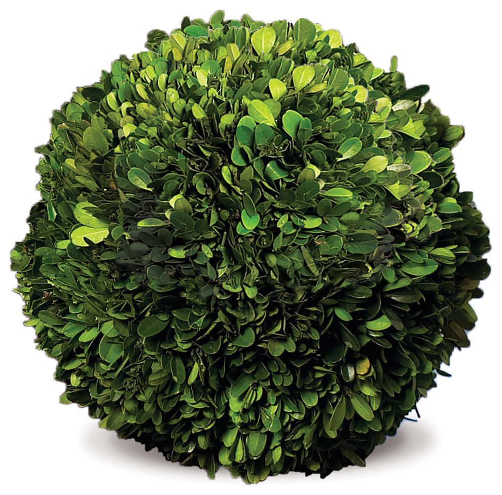 Boxwood Ball, 12"