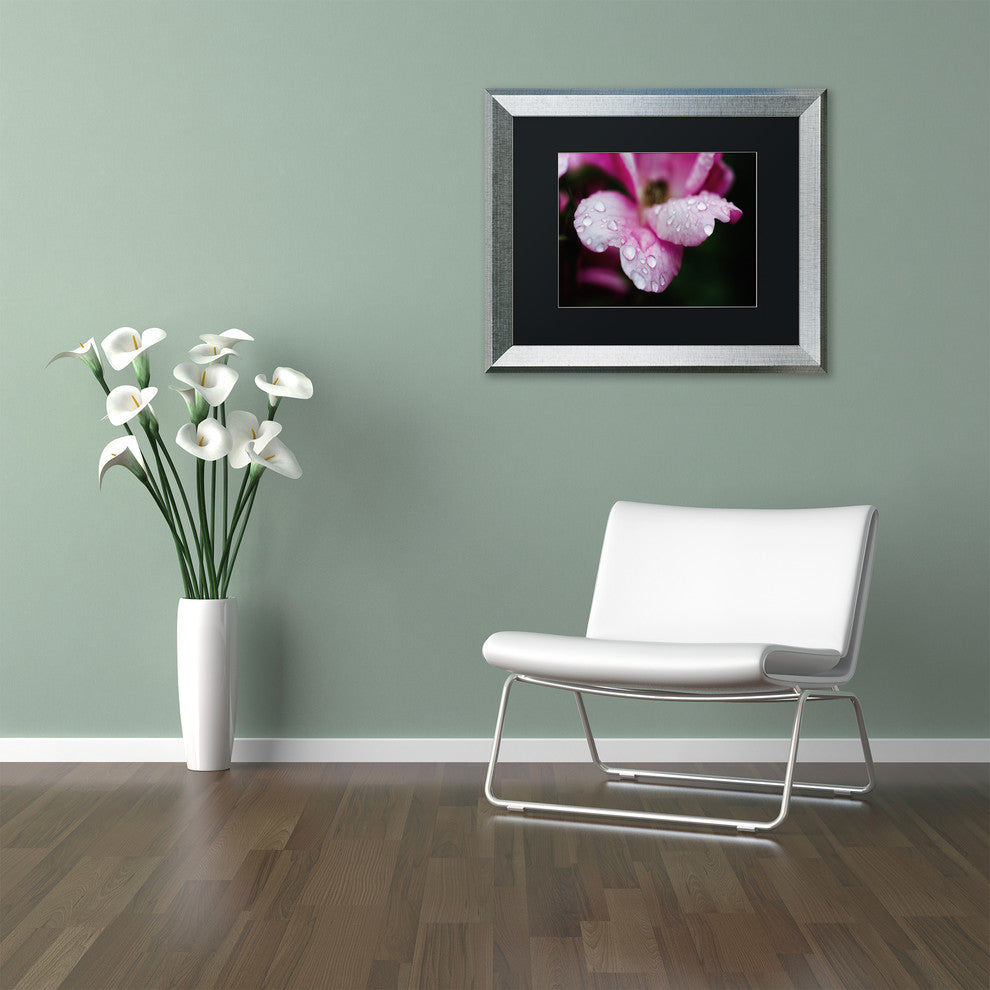 PIPA Fine Art 'Raindrops on Wild Rose Color' Matted Framed Art, 20x16