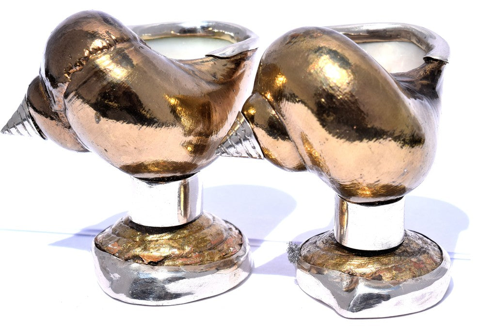 Pair of Gold Plated Shell Salt Cellars with Sterling Silver Trim