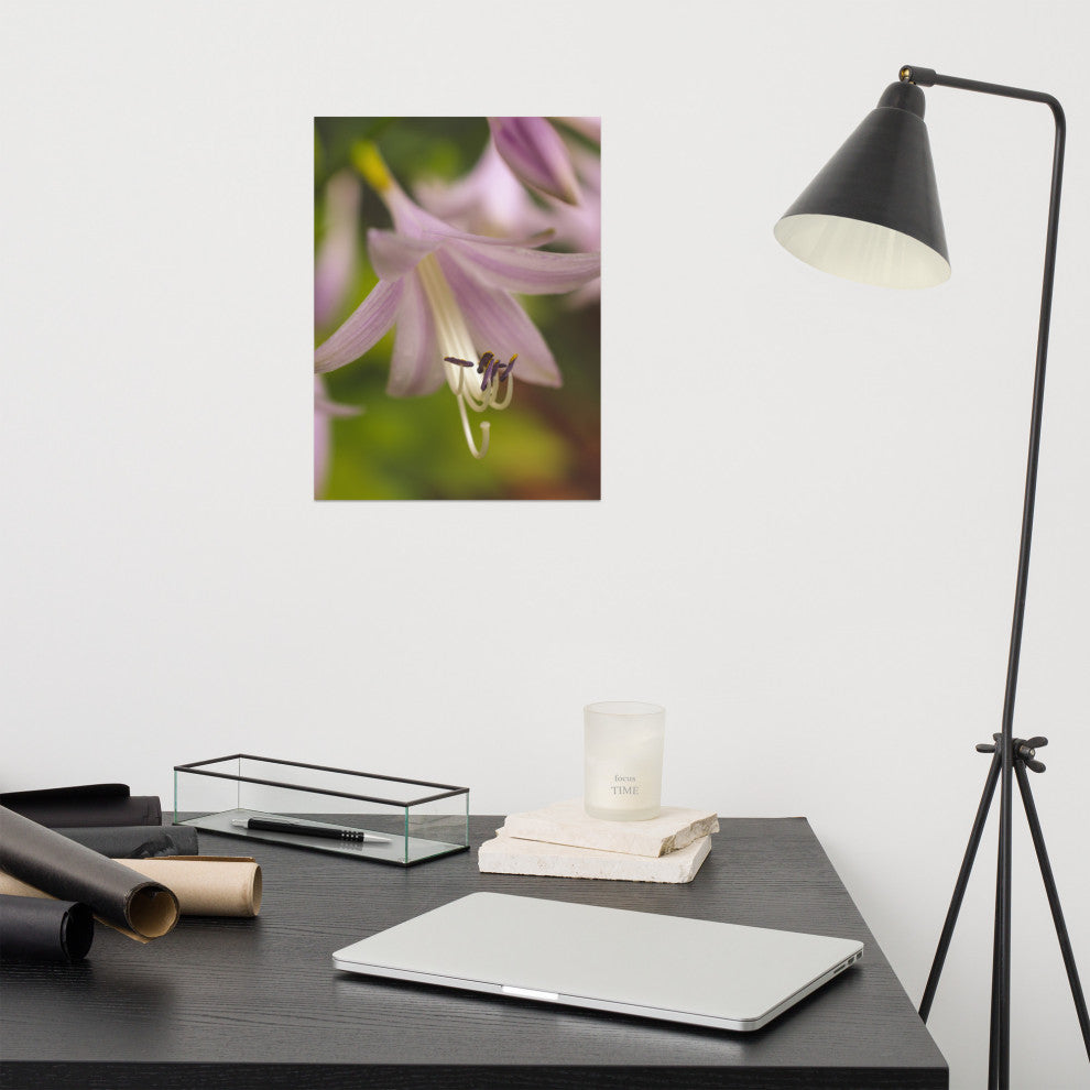 Close-up Hosta Bloom Nature Photography, Floral Unframed Wall Art Print, 12" X 16"
