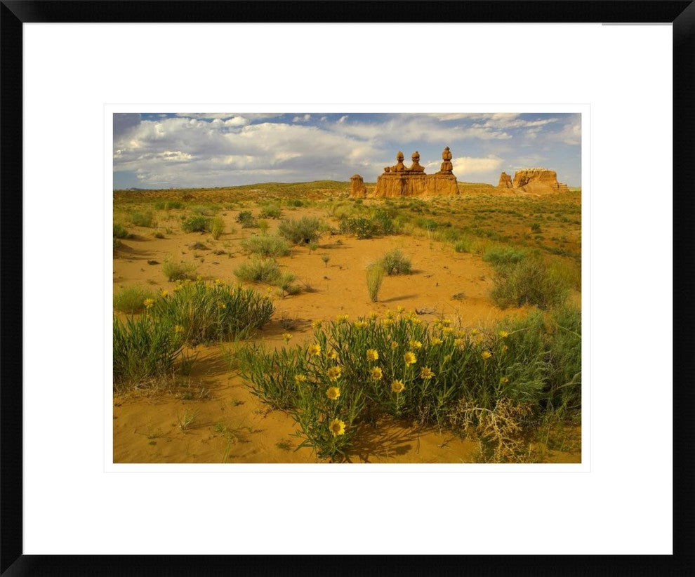 "The Three Judges, Goblin Valley State Park, Utah"  by Tim Fitzharris, 24x20"
